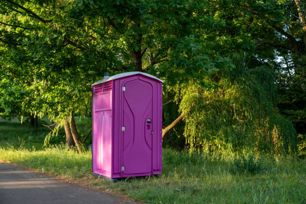 Best Porta potty rental for festivals  in Belle Plaine, MN